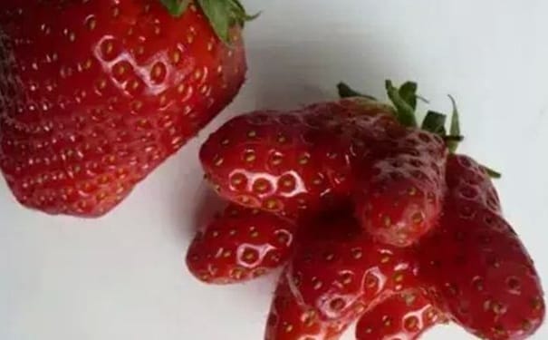 什么是激素水果？如何辨别打了激素的水果？(1)