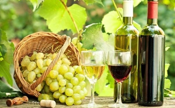 葡萄酒是什么属性的饮品？哪些体质的人不适合喝葡萄酒？(1)