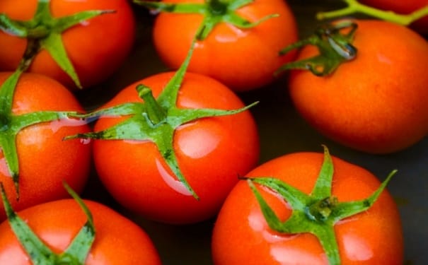 西红柿可以放冰箱吗？西红柿怎样存储最好？(1)