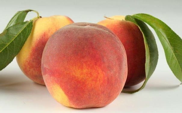 怎样存放桃子时间长？存放桃子的方法有哪些？(1)