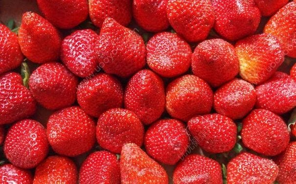 吃了没洗的草莓感染诺如病毒？没洗的草莓能吃吗？(4)
