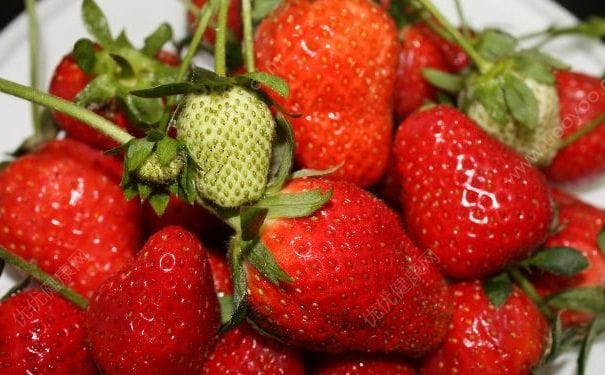 吃了没洗的草莓感染诺如病毒？没洗的草莓能吃吗？(2)