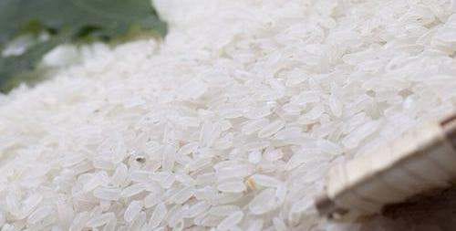 稻子是什么米,稻谷是大米还是小米图2
