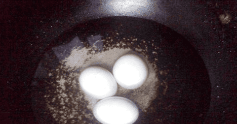 咸鸭蛋煮熟后过凉水,煮咸鸭蛋冷水下锅需要多长时间图9