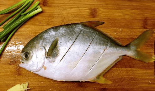 吃金昌鱼有什么好处,金鲳鱼营养功效与作用及禁忌图4