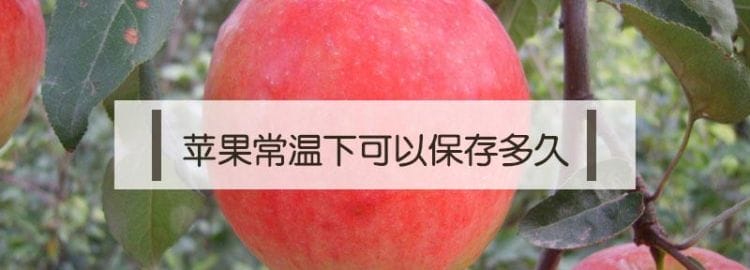 苹果夏天常温能放多久,苹果常温可以保存多久图4