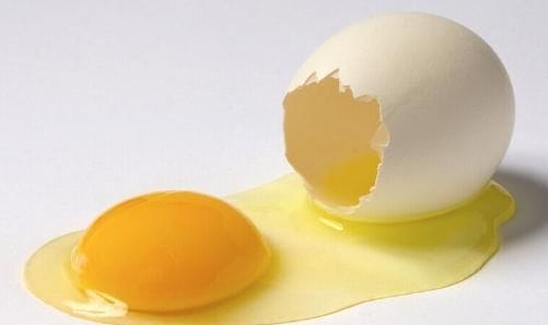 鸡蛋黄容易碎是什么原因(鸡蛋有杂质是什么原因)图1
