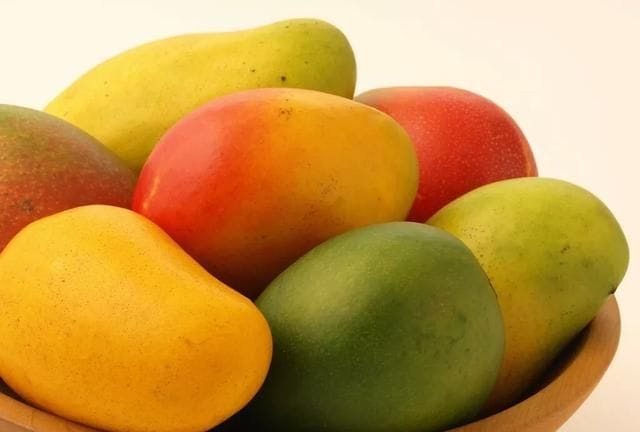 芒果不能和什么一起吃,芒果不能和什么一起吃会拉肚子图3