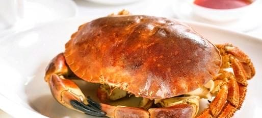 面包蟹有什么营养价值,面包蟹吃什么食物图1