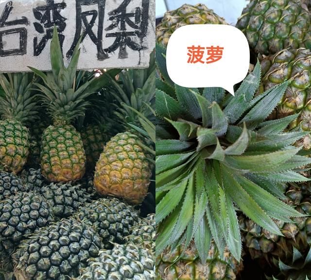 凤梨和菠萝一样吗：菠萝不是凤梨，菠萝是菠萝，凤梨是什么？图1
