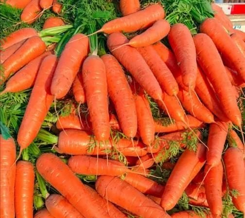 水果胡萝卜是转基因,非转基因的蔬菜有哪些种类图2