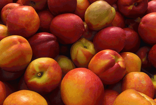 油桃可以放冰箱保存吗,油桃可以放冰箱冷藏 油桃如何长时间保存图1