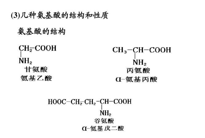 亚氨基酸有哪几种,属于亚氨基酸的氨基酸有哪些图1