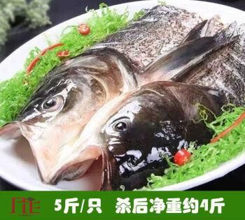 鱼肉和鱼头哪个热量高,鱼头胖还是鱼肉胖图1