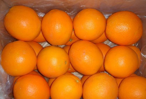 橙子放几天会不会变甜,橙子没冰箱可以放多久图2