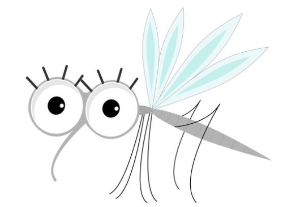 蚊子喜欢叮咬什么血型的人 什么人易惹蚊子
