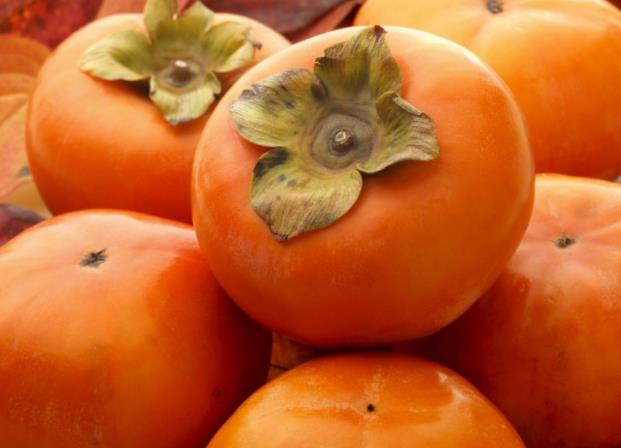 柿子不适合什么人吃 贫血患者,糖尿病人,慢性胃炎等