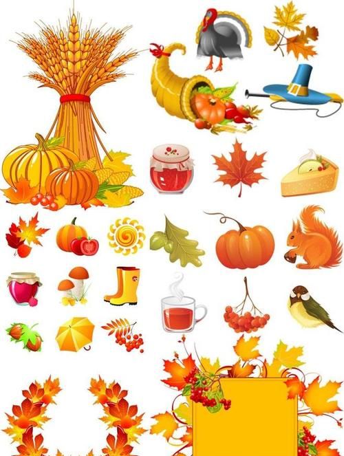 秋天的象征有哪些东西,什么东西能代表秋天来了图3