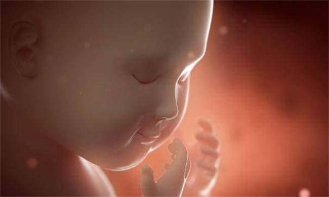 孕妇有这几种感受  说明胎儿脑发育好 家长对照下