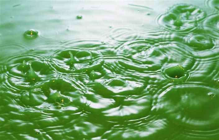 水为什么变绿,自来水为什么发绿色图4