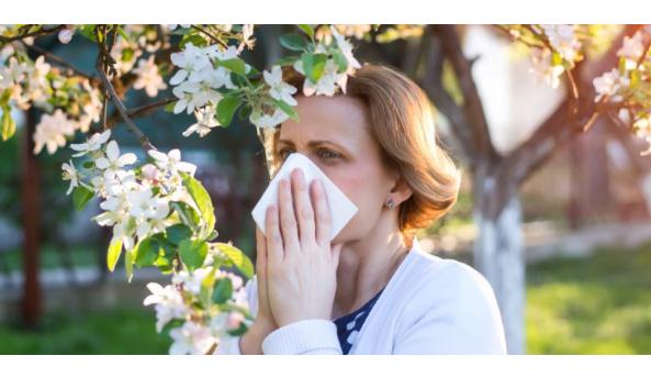 怎么预防过敏性鼻炎 患过敏性鼻炎怎么治疗呢