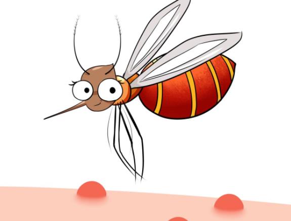 蚊子咬的红点多久会退 被蚊子咬后的处理
