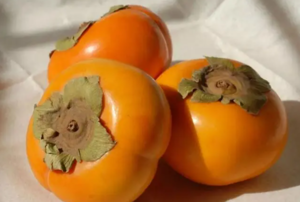 硬柿子怎么弄又甜又脆,怎样弄柿子又脆又甜好吃窍门图3