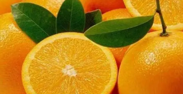 橙子能放冰箱保存,橙子可以放冰箱保鲜多久图1