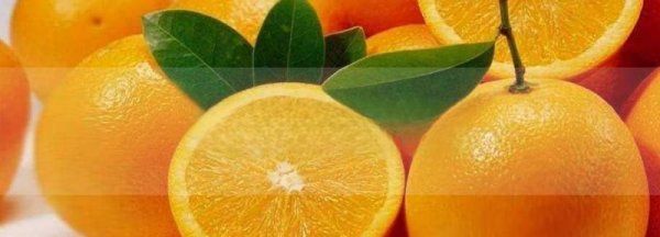 橙子能放冰箱保存,橙子可以放冰箱保鲜多久图3