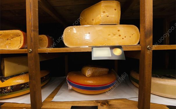 吃奶酪会长高吗？吃奶酪补钙吗？(3)