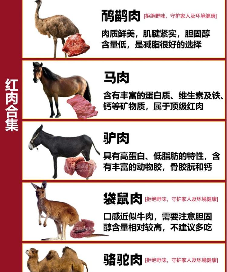 白肉和红肉的区别,红肉和白肉的区别图1