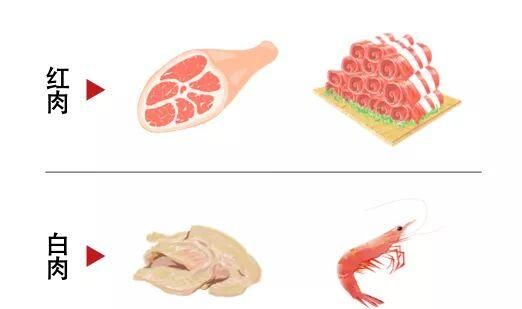 白肉和红肉的区别,红肉和白肉的区别图3