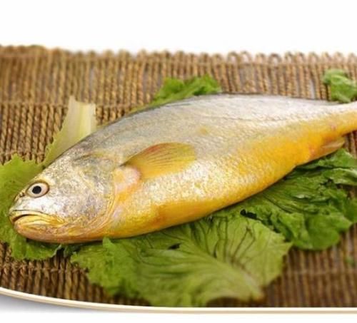 黄鱼的营养价值,黄花鱼的营养成分图3