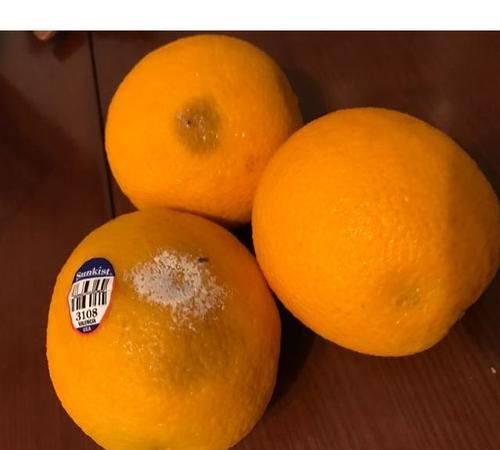 怎么判断橙子变质,橙子不新鲜了可以拿了干什么图1