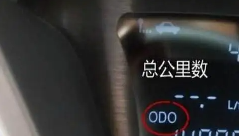 odo是什么意思车上的,odo是什么意思车上的电瓶车图1