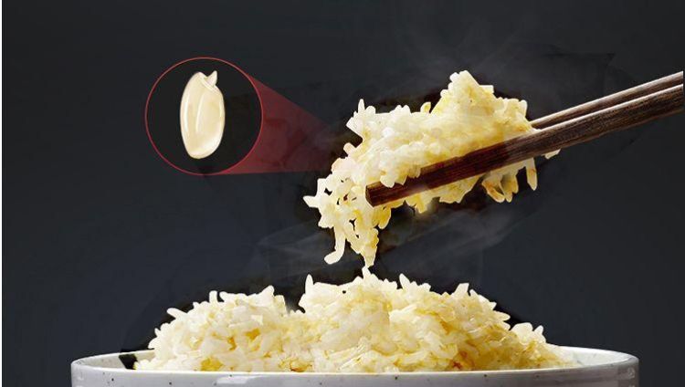 糙米如何发芽,怎样使糙米快速发芽图1