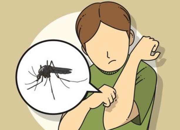 被蚊子咬了涂口水有用吗 溶菌酶杀菌消毒