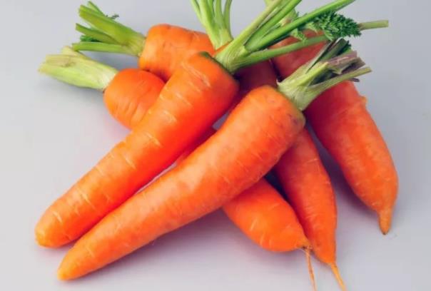吃胡萝卜能美白吗 膳食纤维滋养细嫩肌肤,加快身体代谢