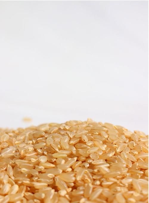 糙米是大米,糙米是大米的一种图1