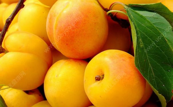 杏子是热性还是凉性？杏子是热性水果吗？(3)