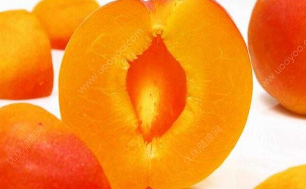 杏子是热性还是凉性？杏子是热性水果吗？(4)