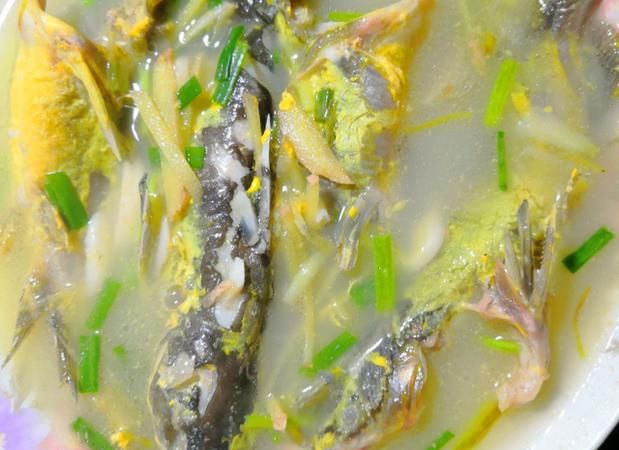 黄辣丁鱼汤的功效与作用,黄颡鱼的功效与作用、禁忌和食用方法图8