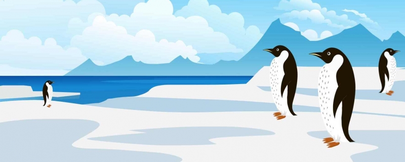 企鹅为什么不迷路 企鹅流鼻涕的原因
