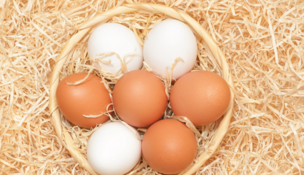 鸡蛋的最佳储存方法夏季,冰箱里保存鸡蛋的小窍门图9