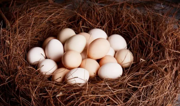 鸡蛋的最佳储存方法夏季,冰箱里保存鸡蛋的小窍门图10