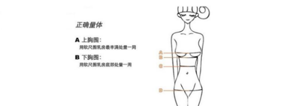 内衣最小码是多少码,胸小适合什么型号的内衣图4