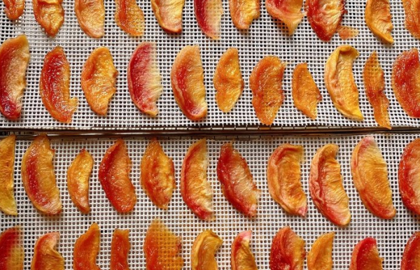 黄桃干的做法自然晾晒,黄桃可以晒干吃图17