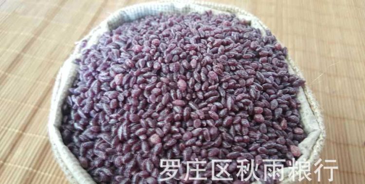 紫薯米是什么米,紫薯米是人工合成的煮变白了能吃图1