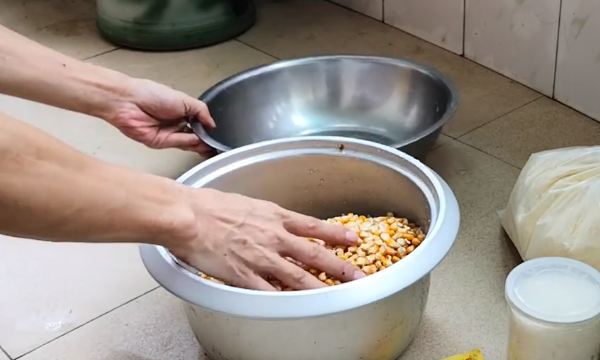 玉米怎么发酵做窝料,玉米打窝料的制作方法简单图12