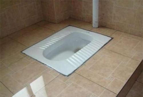 厕所蹲坑臭味怎么去除,怎样除掉卫生间的臭味图1